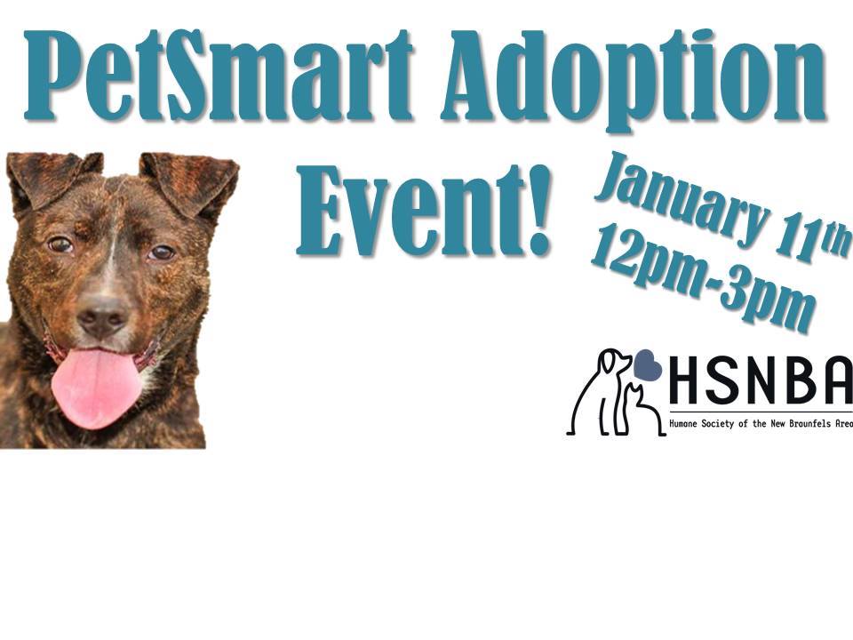 petsmart adopt event