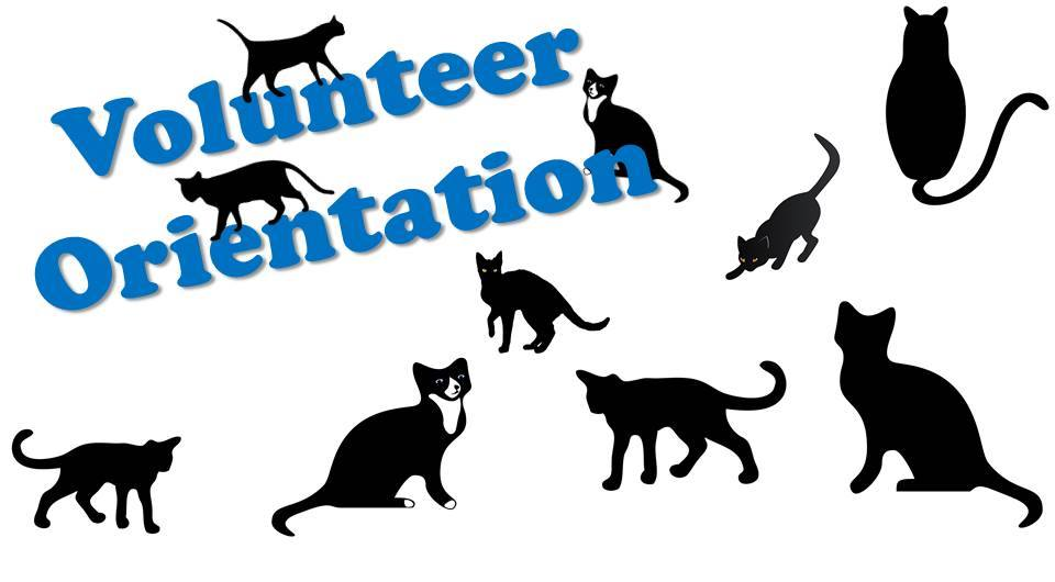 Volunteer Orientation