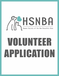 HSNBA volunteer application